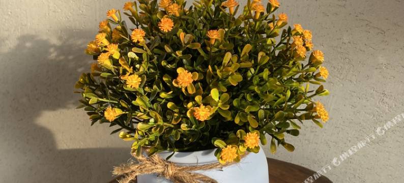 缙云安下丽舍民宿(仙都景区店)图片