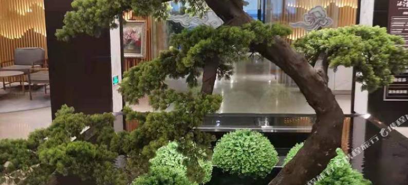 满洲里多利斯艺术酒店图片