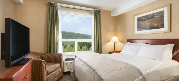 科克伦温德姆戴斯套房酒店(Days Inn & Suites by Wyndham Cochrane)图片