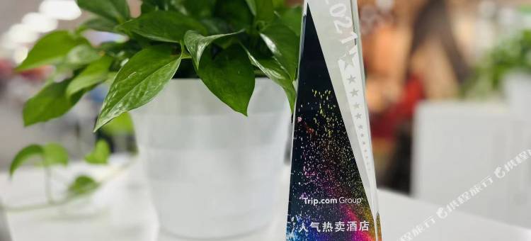 维也纳酒店(武汉华中师范大学虎泉地铁站店)图片