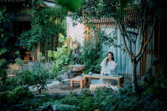 丽江古城狼穴·猫的秘密花园·Barista庭院咖啡美宿(五一街店)图片