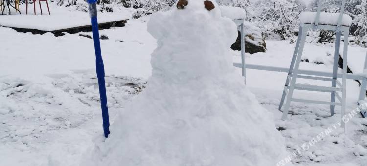 云顶庭院(索松村店)图片