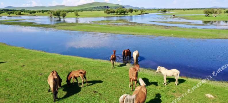 呼伦贝尔额尔古纳草原里部落民宿图片