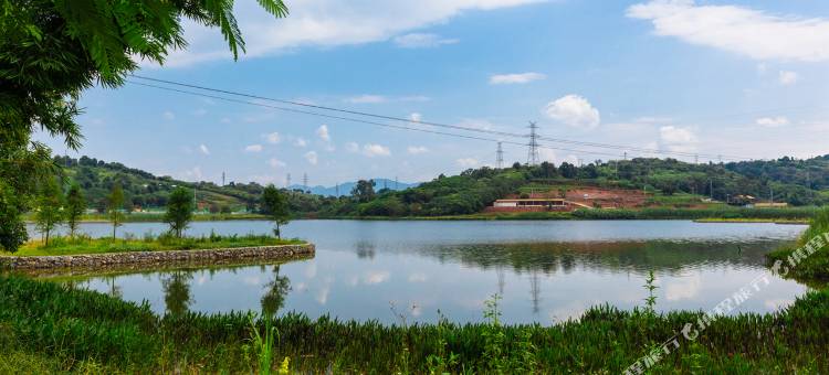 朋来合院客栈(普洱茶小镇店)图片