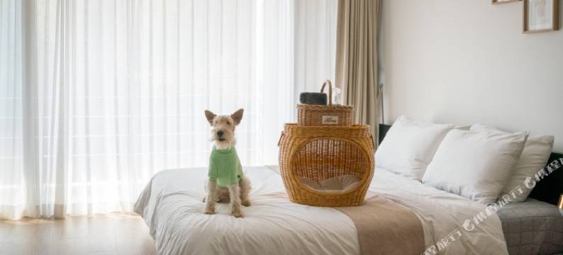 通永767旅馆(Tongyoung767Pension)图片