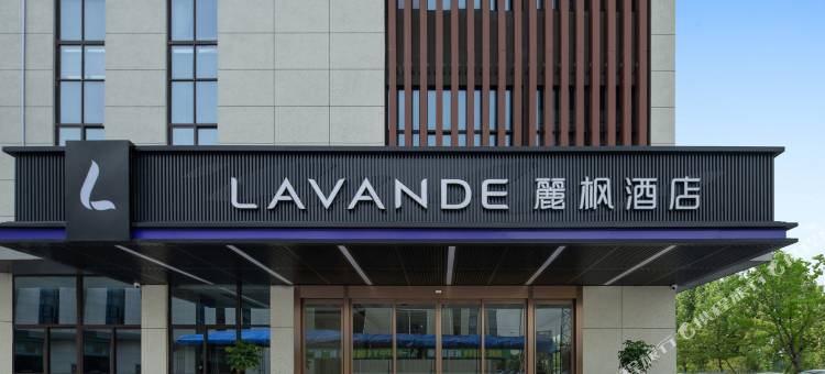 麗枫酒店(铜陵义安区店)图片