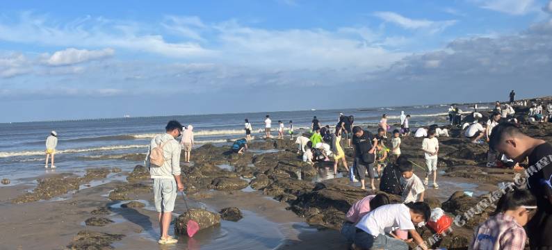 会强民宿(日照海滨国家森林公园店)图片