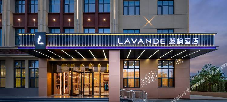 麗枫酒店(衡水故城店)图片