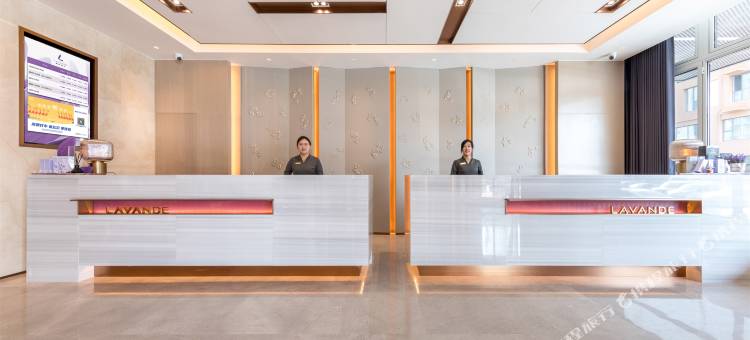 麗枫酒店(平原共青团北路店)图片