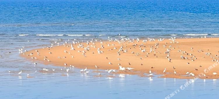 方外•隅见海民宿图片