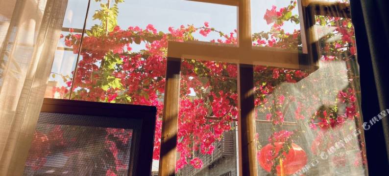 语林花园酒店(南部县政府店)图片