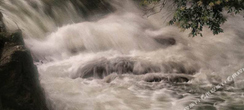 雁荡兰亭民宿(雁荡山博物馆店)图片