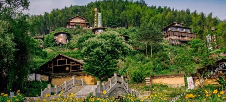 景宁耕心舍图片