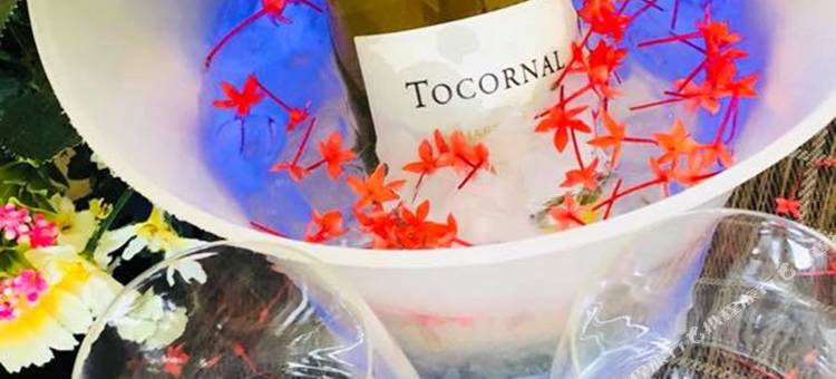 礁石海滩度假村(Reef Beach Resort)图片