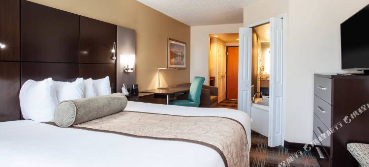 Wingate by Wyndham - Orlando International Airport图片