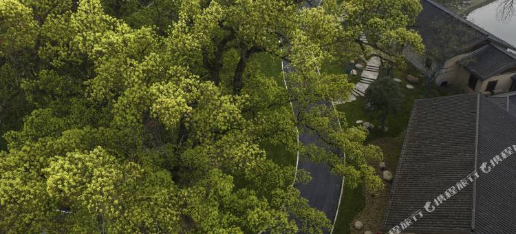 石台聚龙牯牛降大酒店图片