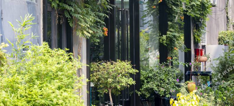 上海朴园酒店图片