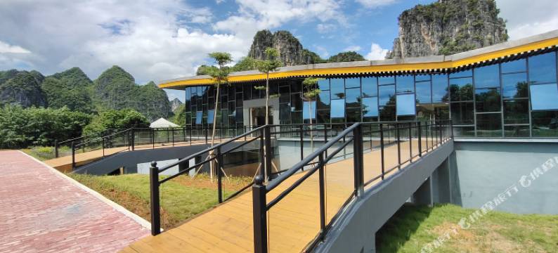 白头叶猴公寓图片