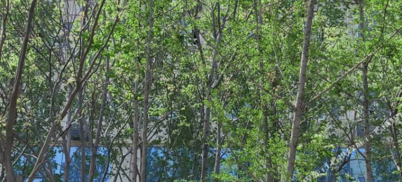 客悦雅酒店图片