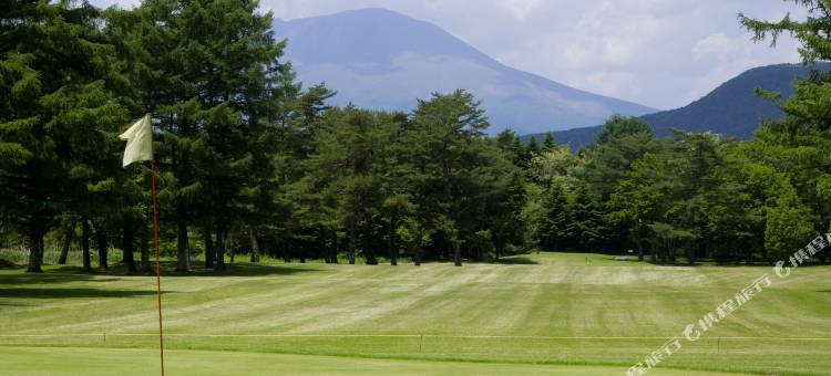 轻井泽王子别墅(The Prince Villa Karuizawa)图片