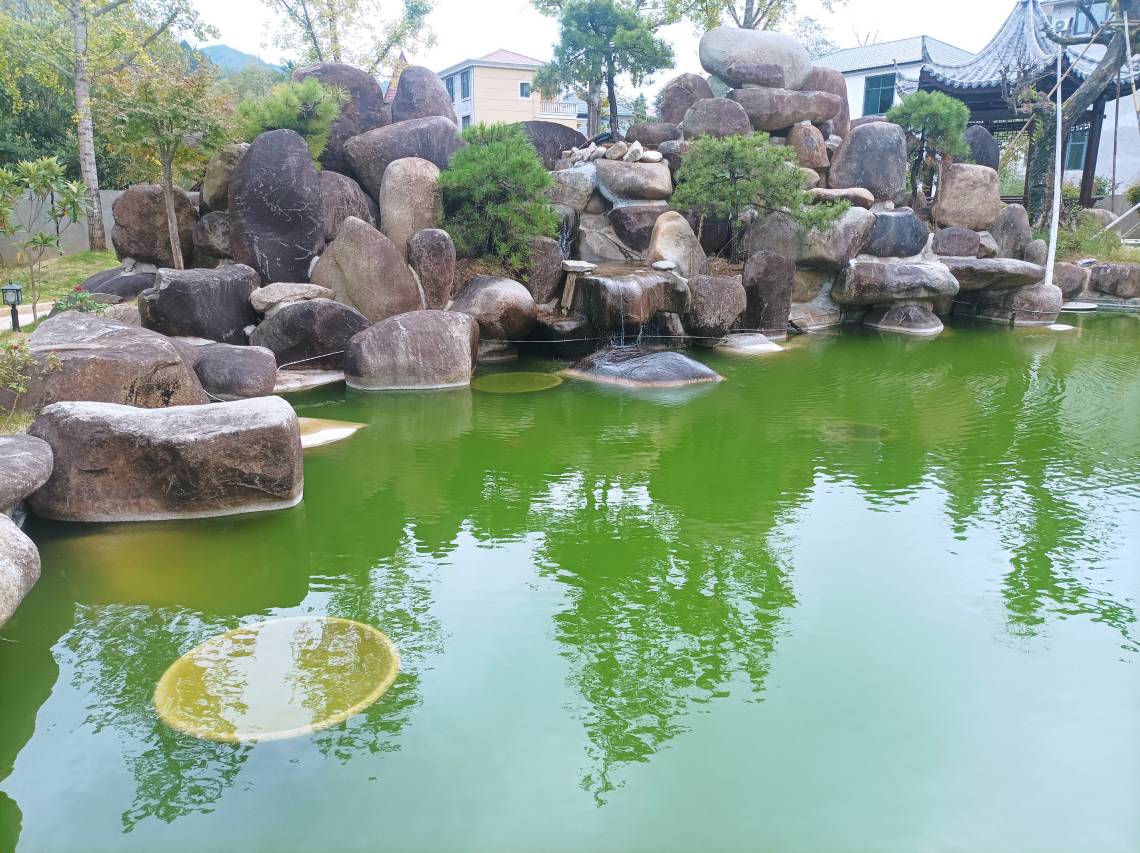 慕云国际酒店(三清山旅游公路店)图片