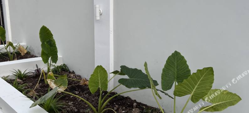 尼波工作室公寓(Nebo Studio Apartments)图片