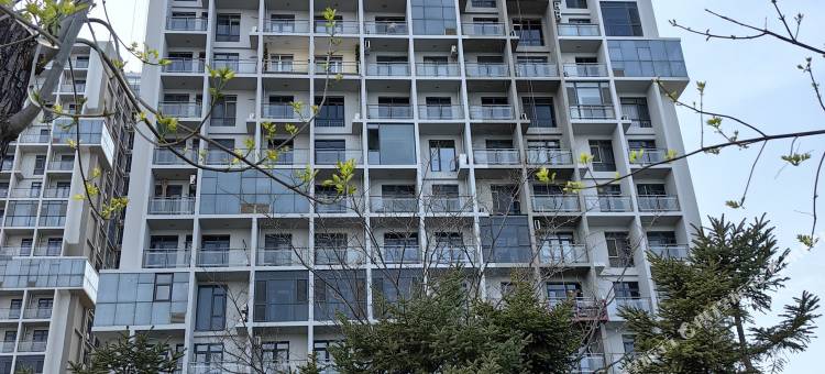 澳景蓝湾邂逅海全海景公寓(黄金海岸店)图片