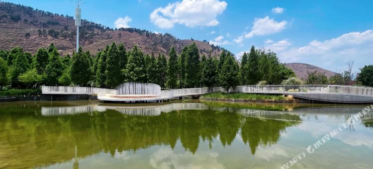 抚仙湖泊云民宿(星空度假区店)图片