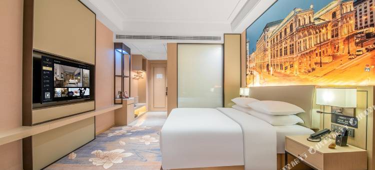 维也纳国际酒店(和田夜市瓯越公馆店)图片