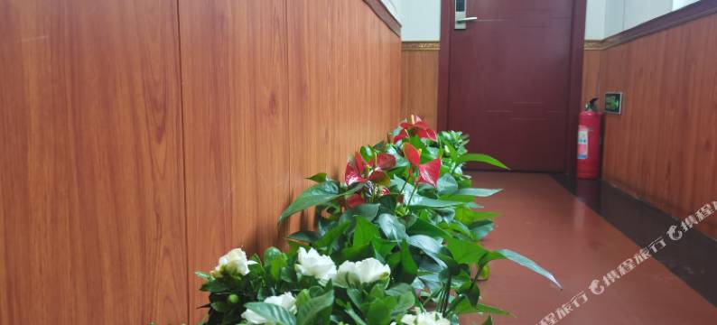 西安新宜家宾馆图片