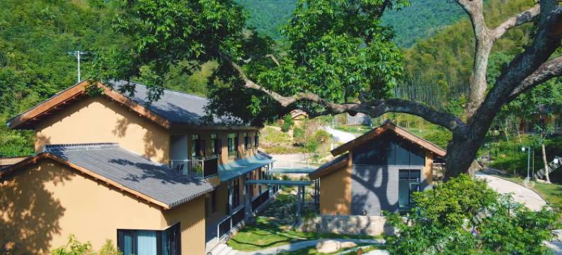 金寨春山·柳遇民宿图片