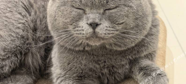 考拉·云朵酒店(德港万达天山机场店)图片