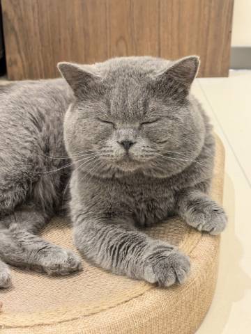 考拉·云朵酒店(德港万达天山机场店)图片