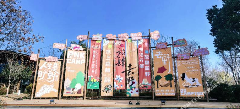 梦享湾·水上森林营地图片