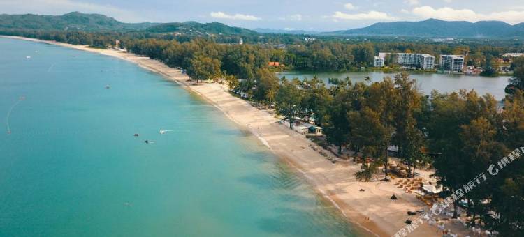 The Palmyrah Surin by Holy Cow B207图片