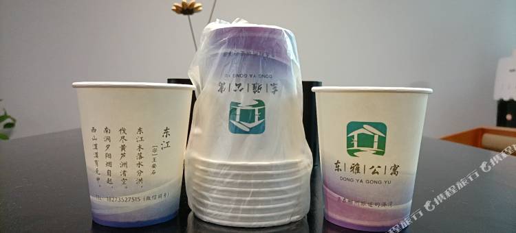 资兴东江湖东雅公寓图片