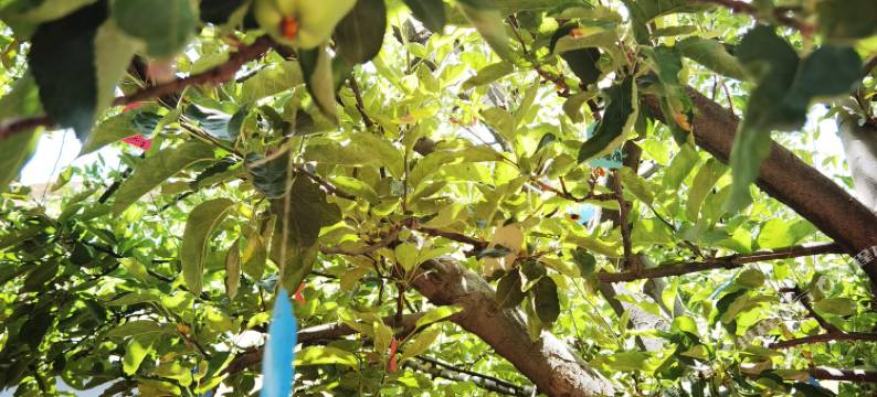 拉萨故叙精品民宿(八廓街店)图片