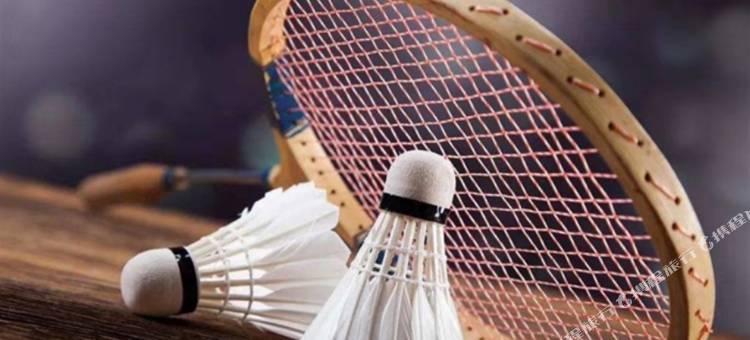 维也纳智好酒店(安化店)图片