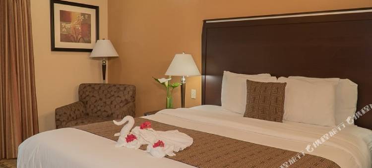 银浪酒店(Silver Surf Motel)图片