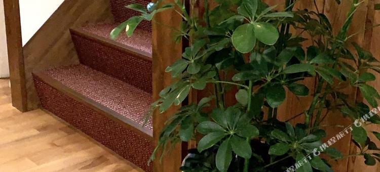 侍之北旅馆(Samurise North)图片