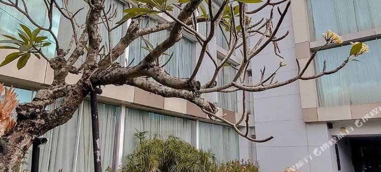 日惹比安蒂阿托特尔套房酒店(ARTOTEL Suites Bianti Yogyakarta)图片