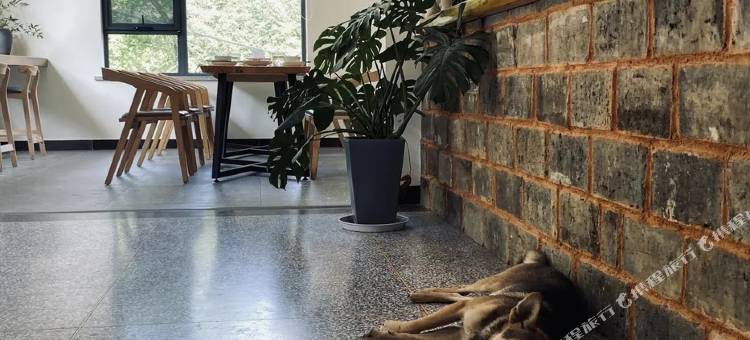 黄山良舍·云溪美宿图片