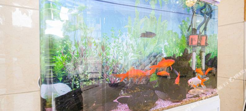 霞浦海韵520主题酒店图片