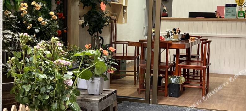 鼓浪屿茶屿猫·宿图片