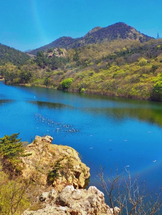 bomanminsu Over view