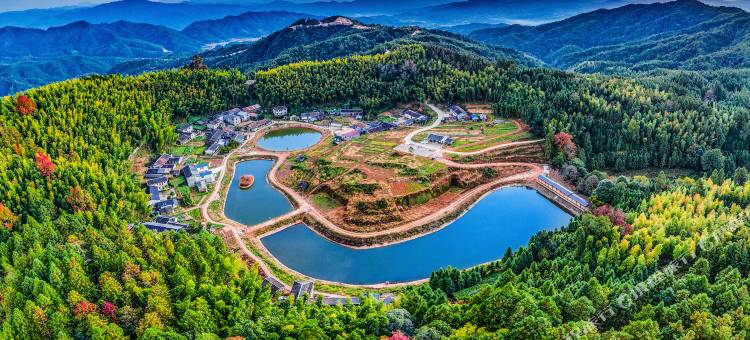 翠竹洋火山口民宿图片