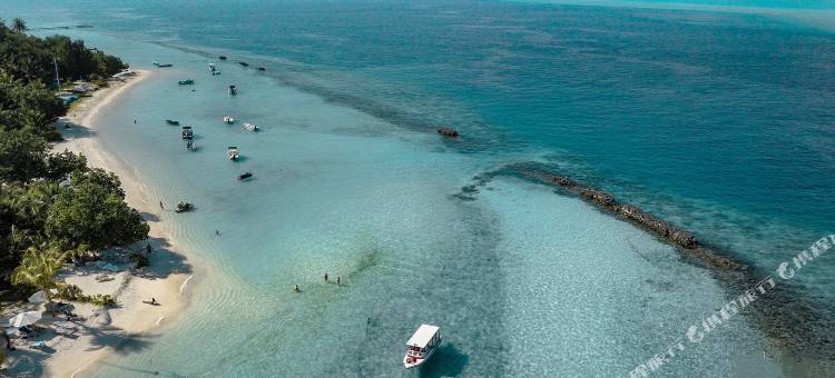 Batuta Maldives Inn图片