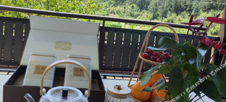 界角·Luxury山景庭院观景休闲度假美宿(龙王山漂流店)图片