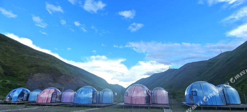 鱼子西雅诺星宿图片