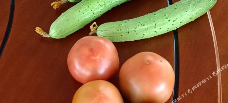 伊春绿野A居民宿图片